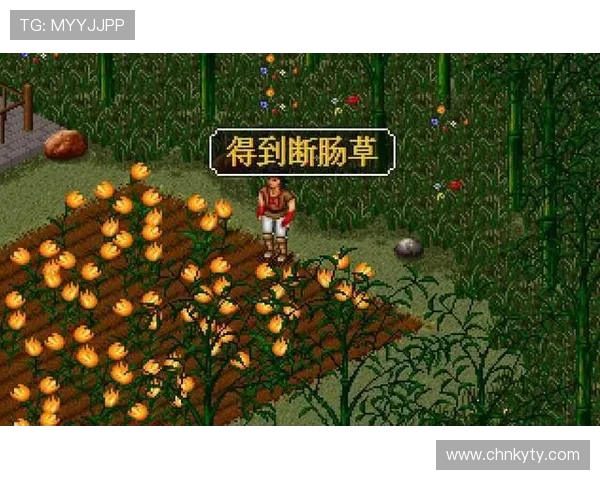 开云网址导航提供便捷的游戏分类和优质的游戏资源一站式导航体验