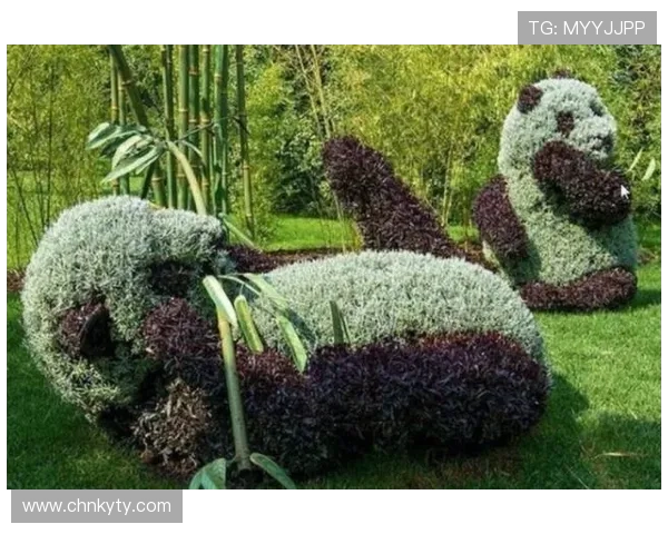 开云集团官网首页用户指南详解如何注册登录、浏览商品以及享受专属会员权益