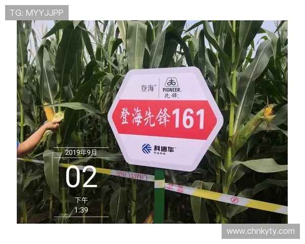 开云体育官方活动的奖品设置与抽奖规则详细介绍让你轻松赢取丰富奖品